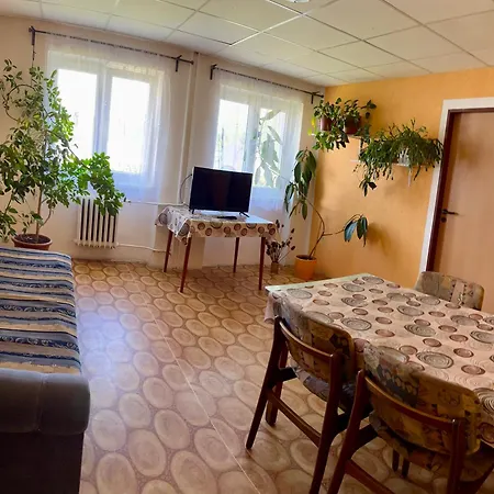 U Ropaku Apartment Horni Slavkov